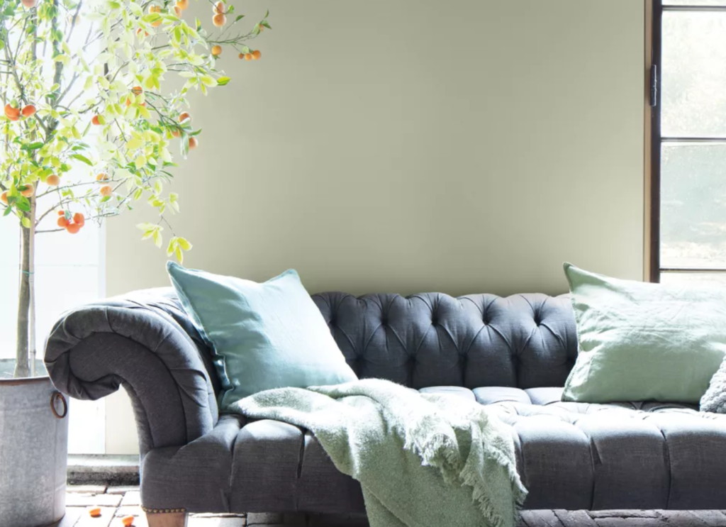 Benjamin Moore’s Color of the Year Makes It Official: Next Year Is Going Green