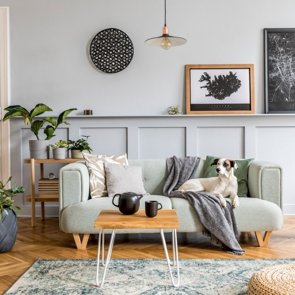 A Comprehensive Guide to the Most Iconic Furniture Styles