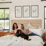 Single-hung vs. double-hung windows: Which is best for your home?