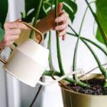 11 Home Tasks You Should Do Before You Go on Vacation